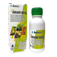 Авангард 100мл