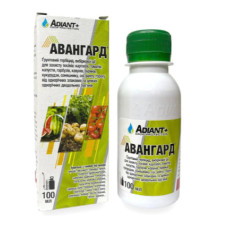 Авангард 100мл