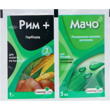 Рим+мачо(1г.)