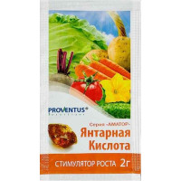 Бурштинова кислота (2г.)Провентус/250ш