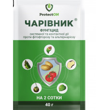 Чарівник (40г)